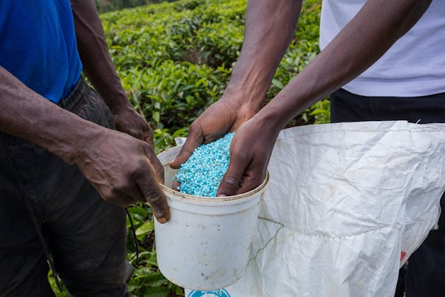 Fertilizers