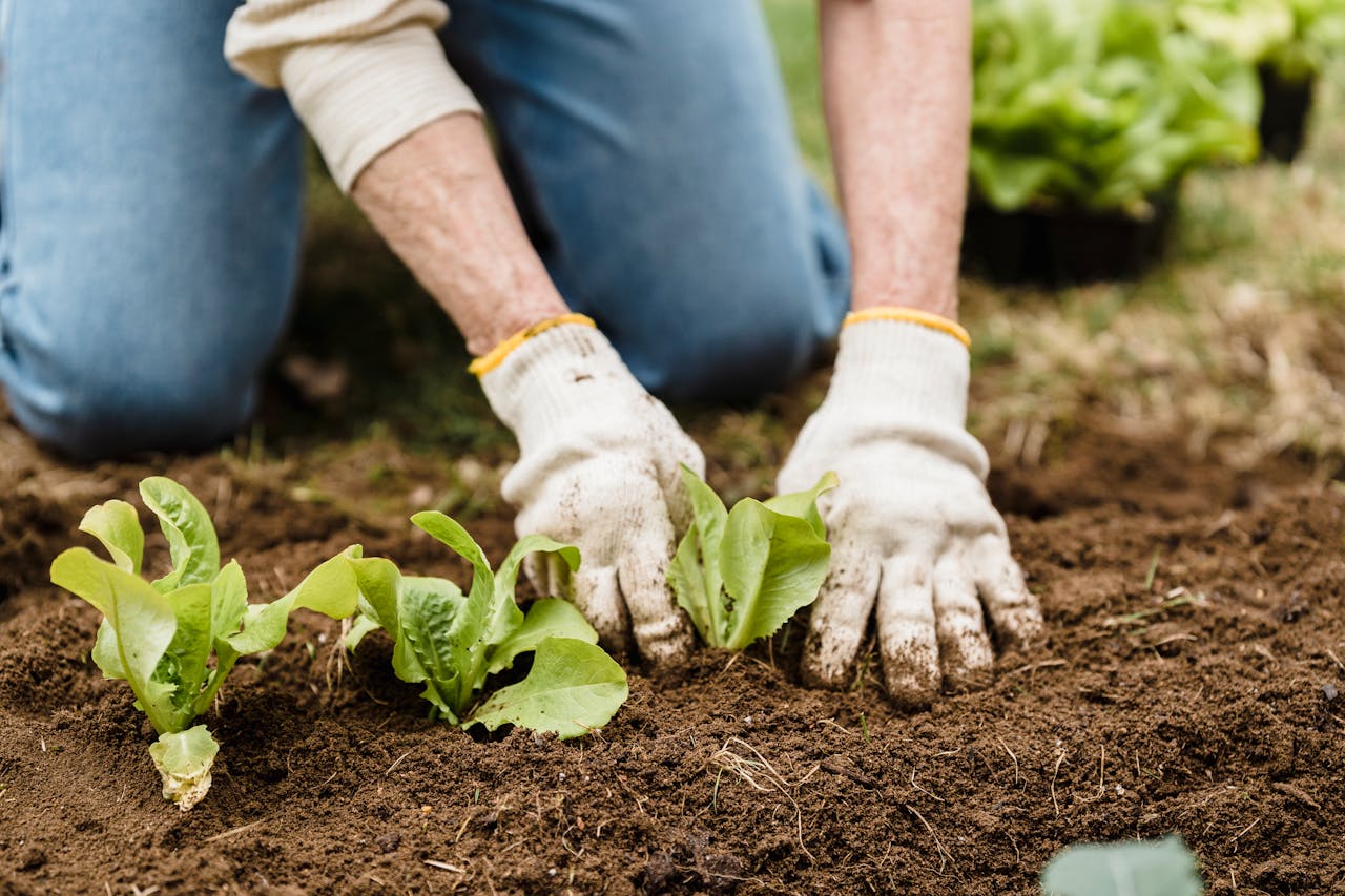 Fertilizers & Chemicals Fertilizers & Chemicals