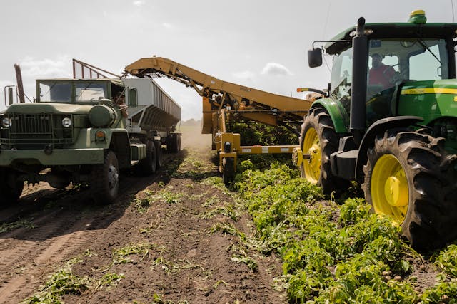 Agriculture